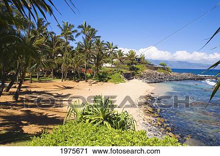 Stock Image - Hawaii, Maui, Northern Coast, Overlooking Kuau Cove From Mama's Fish House.. Fotosearch