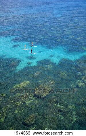Stock Image - Hawaii, Maui, Olowalu, Stand Up Paddling.. Fotosearch