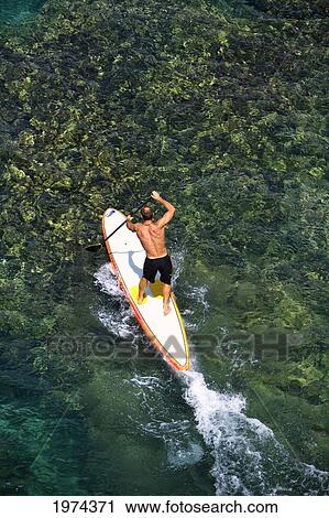 Hawaii, Maui, Olowalu, Stand Up Paddling. View Large Photo Image Stock Image - Hawaii, Maui, Olowalu, Stand Up Paddling.. Fotosearch