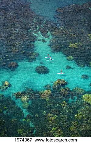 Stock Photo - Hawaii, Maui, Olowalu, Stand Up Paddling.. Fotosearch