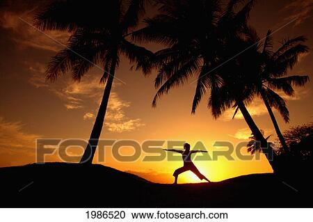 Stock Image - Hawaii, Maui, Olowalu, Woman Doing Yoga At Sunset Under Palm Tree.. Fotosearch