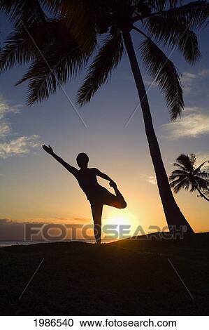 Stock Image - Hawaii, Maui, Olowalu, Woman Doing Yoga At Sunset Under Palm Trees.. Fotosearch