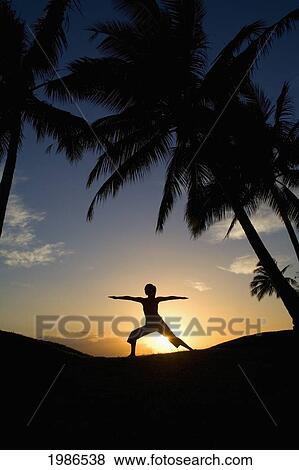 Stock Photo - Hawaii, Maui, Olowalu, Woman Doing Yoga At Sunset Under Palm Trees.. Fotosearch