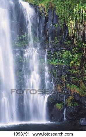 Hawaii, Maui, One Of Many Cascading Waterfalls Found Along Hana Coast. View Large Photo Image Stock Image - Hawaii, Maui, One Of Many Cascading Waterfalls Found Along Hana Coast.. Fotosearch