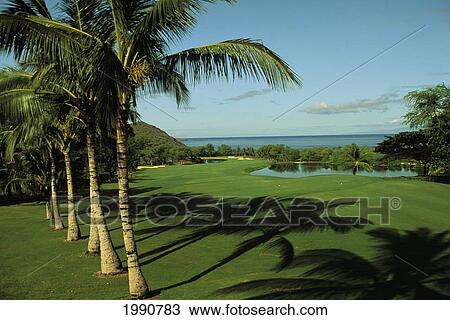 Hawaii, Maui, Out On The Green At Makena Golf Club View Large Photo Image Stock Image - Hawaii, Maui, Out On The Green At Makena Golf Club. Fotosearch
