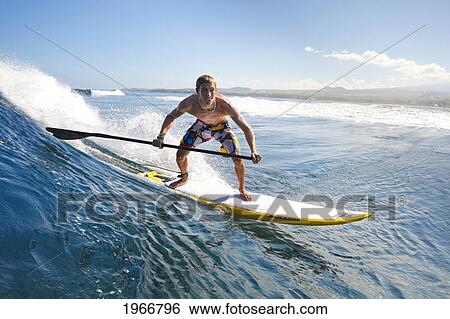 Stock Photograph - Hawaii, Maui, Paia, Athletic Stand Up Paddle Boarder Rides Wave. Fotosearch