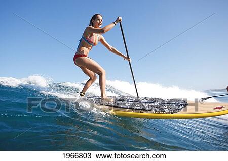 Stock Image - Hawaii, Maui, Paia, Female Stand Up Paddle Boarder Rides A Wave On Maui's North Shore/Nno Commercial Use. Fotosearch