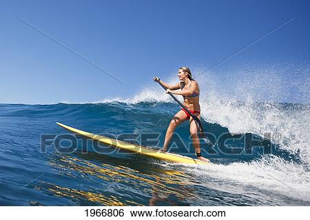 Hawaii, Maui, Paia, Female Stand Up Paddle Boarder Rides A Wave On Maui's North Shore/Nno Commercial Use View Large Photo Image Stock Photograph - Hawaii, Maui, Paia, Female Stand Up Paddle Boarder Rides A Wave On Maui's North Shore/Nno Commercial Use. Fotosearch