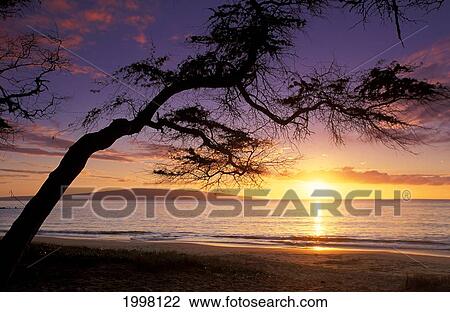 Hawaii, Maui, Palauea Beach Sunset With Hawaiian Island In Background View Large Photo Image Stock Image - Hawaii, Maui, Palauea Beach Sunset With Hawaiian Island In Background. Fotosearch