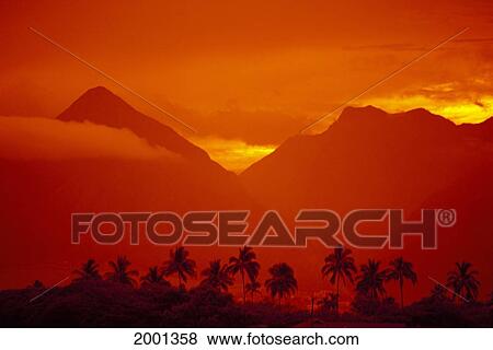 Stock Photo - Hawaii, Maui, Palm Tree Silhouetted With West Maui Mountains Background, Orange Filter Sky. Fotosearch