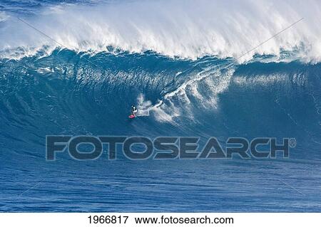 Stock Photo - Hawaii, Maui, Peahi (Jaws), Surfer Rides A Giant Wave. Fotosearch