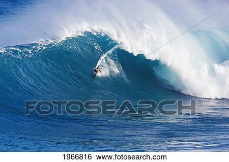 Hawaii, Maui, Peahi (Jaws), Surfer Rides A Giant Wave View Large Photo Image Stock Photograph - Hawaii, Maui, Peahi (Jaws), Surfer Rides A Giant Wave. Fotosearch
