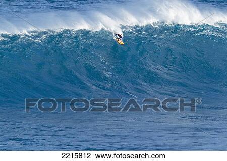 Hawaii, Maui, Peahi, Professional Surfer Danillo Couto riding a giant wave at legendary surf spot Jaws. View Large Photo Image Stock Image - Hawaii, Maui, Peahi, Professional Surfer Danillo Couto riding a giant wave at legendary surf spot Jaws.. Fotosearch