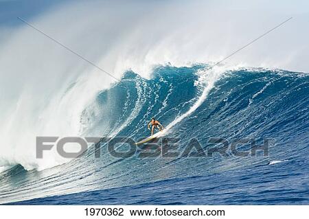 Stock Image - Hawaii, Maui, Peahi, Surfer Rides A Giant Wave At Peahi Also Know As Jaws. For Editorial Use Only.. Fotosearch