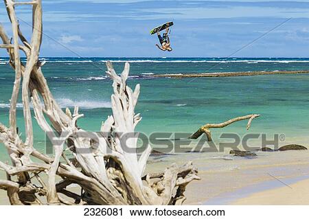 Hawaii, Maui, Professional Kiteboarder Shawn Richman, Driftwood In Foreground. Editorial Use Only. View Large Photo Image Stock Image - Hawaii, Maui, Professional Kiteboarder Shawn Richman, Driftwood In Foreground. Editorial Use Only.. Fotosearch