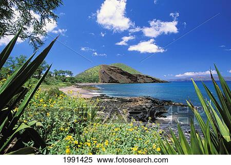 Stock Photography - Hawaii, Maui, Pu'u Olai Viewed From Makena. Fotosearch