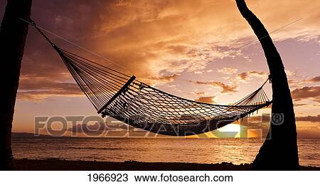 Hawaii, Maui, Silhouette Of A Hammock Hanging Between Two Palm Trees Near Ocean At Sunset View Large Photo Image Stock Image - Hawaii, Maui, Silhouette Of A Hammock Hanging Between Two Palm Trees Near Ocean At Sunset. Fotosearch