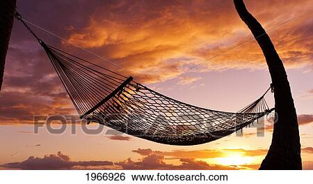 Stock Photograph - Hawaii, Maui, Silhouette Of A Hammock Hanging Between Two Palm Trees At Sunset. Fotosearch