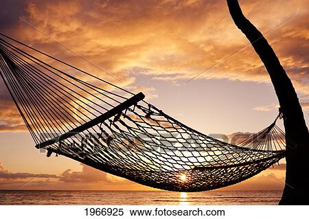 Stock Photography - Hawaii, Maui, Silhouette Of A Hammock Hanging Between Two Palm Trees Near Ocean At Sunset. Fotosearch