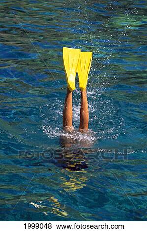 Stock Photo - Hawaii, Maui, Snorkeler Diving Straight Down, Yellow Fins Above Water. Fotosearch