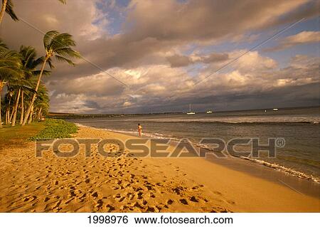 Hawaii, Maui, South Shore At Sunset Ka'anapali Beach, Golden Lighting View Large Photo Image Stock Photograph - Hawaii, Maui, South Shore At Sunset Ka'anapali Beach, Golden Lighting. Fotosearch