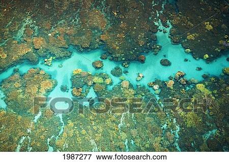 Stock Photo - Hawaii, Maui, Spectacular Coral Formations Off Olowalu.. Fotosearch
