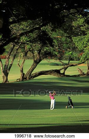 Hawaii, Maui, Spreckelsville Country Club, Front View Jim Bendon Fairway Shot, Trees Distant Background Shadows View Large Photo Image Stock Photo - Hawaii, Maui, Spreckelsville Country Club, Front View Jim Bendon Fairway Shot, Trees Distant Background Shadows. Fotosearch