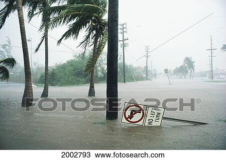 Hawaii, Maui, Storm Flooding Wind And Rain, Damage Street Sign Fallen View Large Photo Image Stock Image - Hawaii, Maui, Storm Flooding Wind And Rain, Damage Street Sign Fallen. Fotosearch