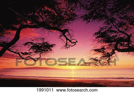 Hawaii, Maui, Sunset At Palauea Beach View Large Photo Image Stock Image - Hawaii, Maui, Sunset At Palauea Beach. Fotosearch