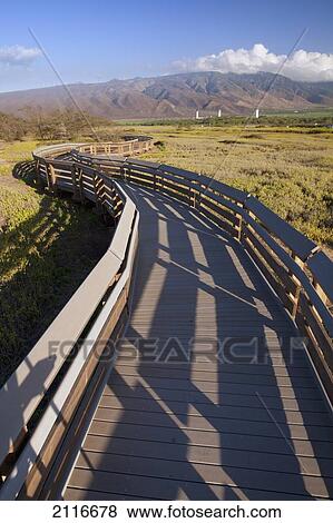 Hawaii, Maui, The Kealia Ponds Boardwalk, Wodden path leading through a country field. View Large Photo Image Stock Photo - Hawaii, Maui, The Kealia Ponds Boardwalk, Wodden path leading through a country field.. Fotosearch