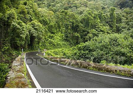 Stock Image - Hawaii, Maui, The lush Road To Hana.. Fotosearch