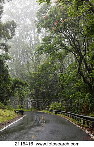 Stock Photograph - Hawaii, Maui, The lush Road To Hana.. Fotosearch