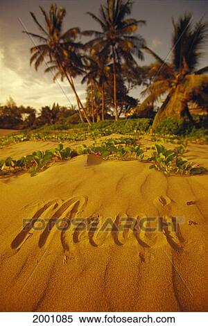 Hawaii, Maui, Tropical Beach Scene With Palm Trees, Maui Written In Sand View Large Photo Image Stock Photography - Hawaii, Maui, Tropical Beach Scene With Palm Trees, Maui Written In Sand. Fotosearch