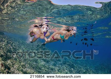 Picture - Hawaii, Maui, Two girls free diving off Molokini Marine Reserve.. Fotosearch