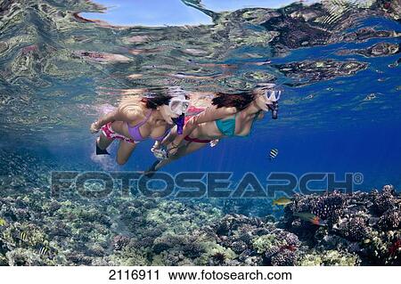 Stock Image - Hawaii, Maui, Two girls free diving off Molokini Marine Reserve.. Fotosearch