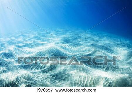 Hawaii Maui Underwater View Of Sunlight Striking The Ocean Floor