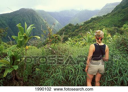 Stock Image - Hawaii, Maui, View From Behind Woman Hiker Looking Into Waihee Valley, From Ridge. Fotosearch