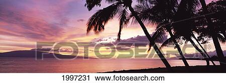 Hawaii, Maui, View Of Lanai With Beautiful Sunset, Calm Ocean, Panoramic A47D View Large Photo Image Stock Image - Hawaii, Maui, View Of Lanai With Beautiful Sunset, Calm Ocean, Panoramic A47D. Fotosearch