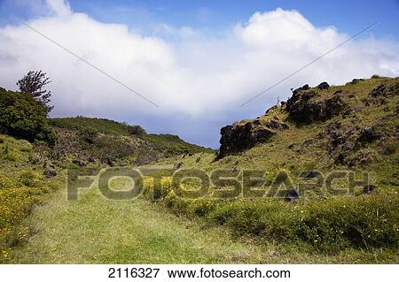 Stock Photo - Hawaii, Maui, View of the lush Kaupo Gap. Fotosearch