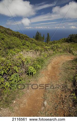 Hawaii, Maui, Waihee, A view of the shore from the high Waihee Ridge. View Large Photo Image Stock Image - Hawaii, Maui, Waihee, A view of the shore from the high Waihee Ridge.. Fotosearch