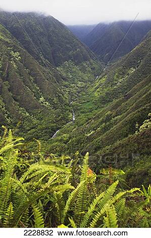 Stock Image - Hawaii, Maui, Waihee, A View Of Waihee Valley With Tall Lush Cliffs. Fotosearch