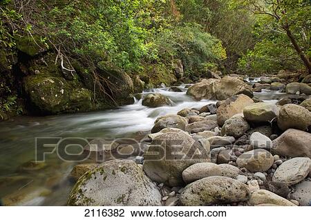Stock Image - Hawaii, Maui, Waihee, Waihee River.. Fotosearch