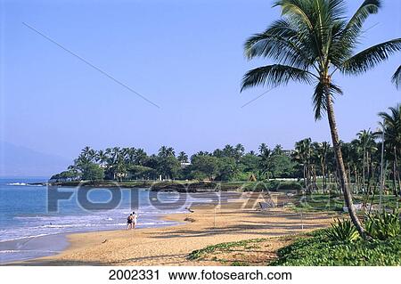 Hawaii, Maui, Wailea Beach, With Volleyball Net And Cabanas Along Shoreline, Palm Trees View Large Photo Image Stock Image - Hawaii, Maui, Wailea Beach, With Volleyball Net And Cabanas Along Shoreline, Palm Trees. Fotosearch