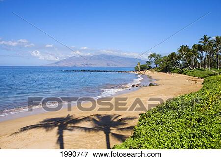 Stock Photo - Hawaii, Maui, Wailea, Beautiful Ulua Beach, Two Palm Tree Shadows.. Fotosearch