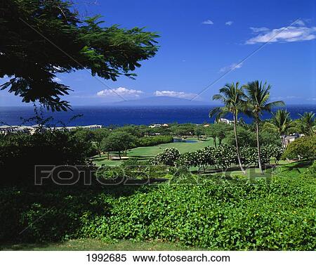 Stock Photography - Hawaii, Maui, Wailea, Blue Golf Course, Scenic Overview, Lanai In Distant Background. Fotosearch