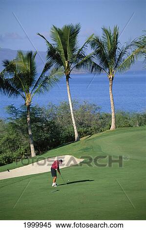 Stock Photography - Hawaii, Maui, Wailea Emerald Course, Man Golf With Shadow On Green Grass Palms Ocean Background. Fotosearch