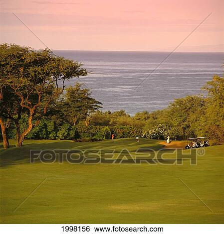 Hawaii, Maui, Wailea, Fairway Golfers Distant Green Ocean, Tobacco Filter View Large Photo Image Stock Photograph - Hawaii, Maui, Wailea, Fairway Golfers Distant Green Ocean, Tobacco Filter. Fotosearch