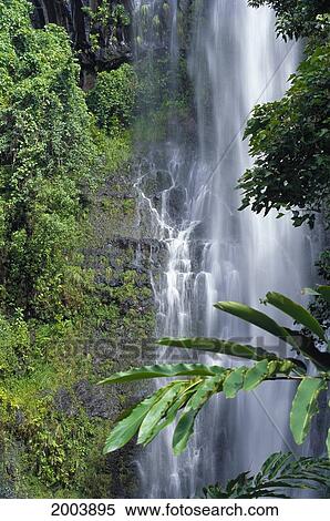Hawaii, Maui, Wailea Falls, Action Water Flow, Greenery Side Angle View Large Photo Image Stock Photography - Hawaii, Maui, Wailea Falls, Action Water Flow, Greenery Side Angle. Fotosearch