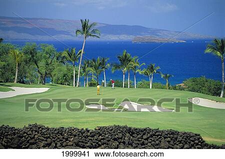 Stock Image - Hawaii, Maui, Wailea Gold Course 2 Men On Green Distance, Ocean Background Man Putt Sand Trap. Fotosearch