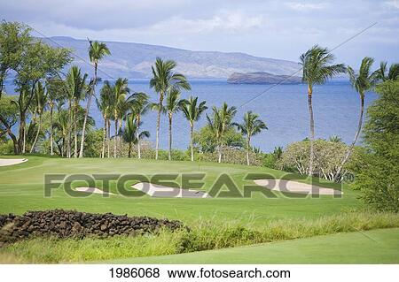 Stock Photo - Hawaii, Maui, Wailea Gold Golf Course, Palm Trees Line The Course, Ocean Beyond.. Fotosearch